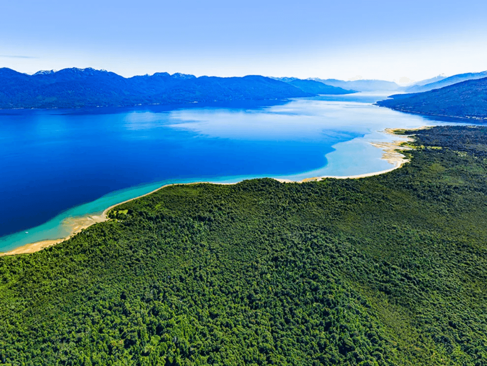 Vista aérea de la península boscosa y la orilla del canal