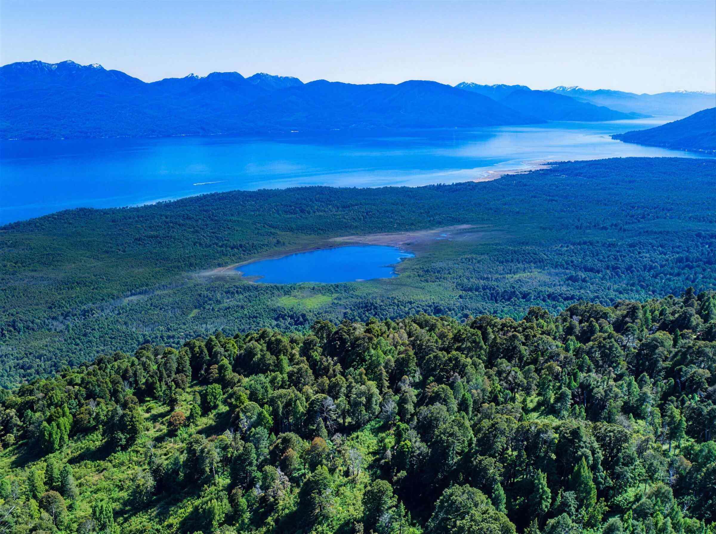 Laguna rodeada de bosque, en el sector del loteo