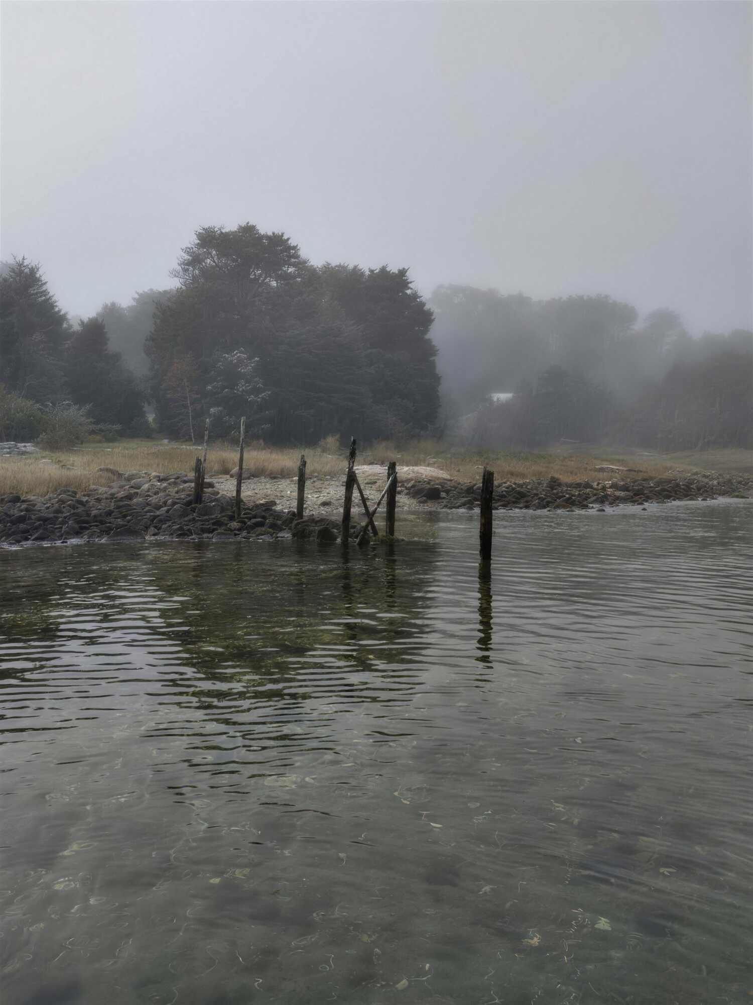 Restos de un muelle antiguo entre la niebla, en la orilla