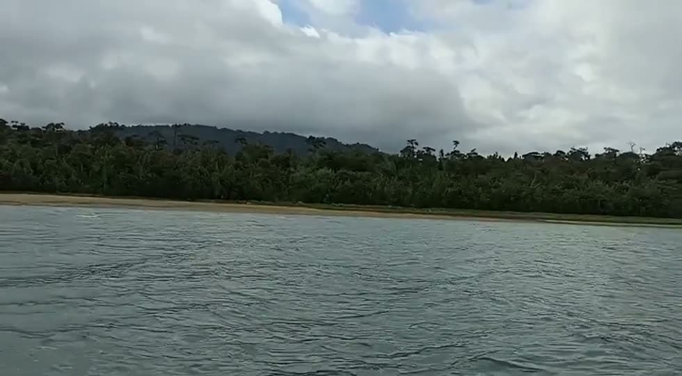 El canal y la costa boscosa vistos desde la lancha, camino al sector