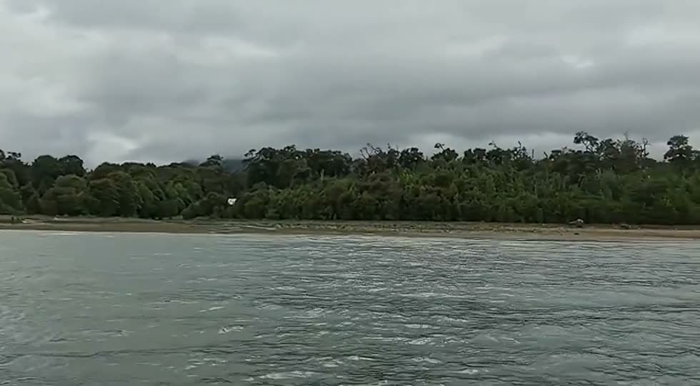 La costa del fiordo desde el agua durante la navegación